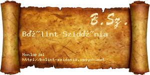 Bálint Szidónia névjegykártya