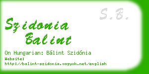 szidonia balint business card