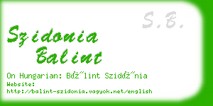 szidonia balint business card